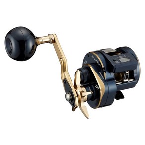 다이와(DAIWA) 21 솔티가 IC 300