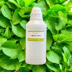 [더위치] 페퍼민트워터 500ml 페퍼민트잎수 Mentha Piperita Peppermint Leaf Water