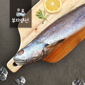 국내산 제수용 반건조 참민어(망미중앙시장 부자생선)