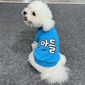 쏭바이펫 댕냥이 아들 티셔츠 S-3XL, 1개, 블루