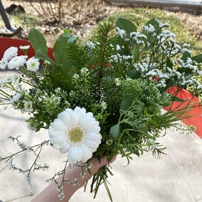 오후의꽃 그린 화이트 한다발 그린 소재 생화 택배, 그린 화이트 한다발(그린소재+흰색꽃), 1개