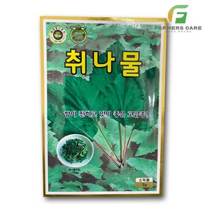 파머스케어 취나물3g - 취나물씨앗 취나물 취씨앗 나물 야채 채소 쌈채소 나물씨앗 나물씨 야채씨 야채씨앗 채소씨 채소씨앗 쌈채소씨 쌈채소씨앗 주말농장 텃밭 KS종묘, 1개