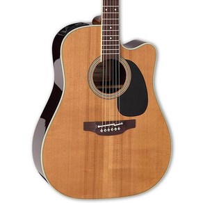 Takamine EF360SC-TT Deadnought Acoustic-Electic Guita Takamine EF360SC-TT 드레드노트 어쿠스틱-일렉트릭 기타 - 천, Natual, 1개, Takamine EF360SC-TT Deadnoug