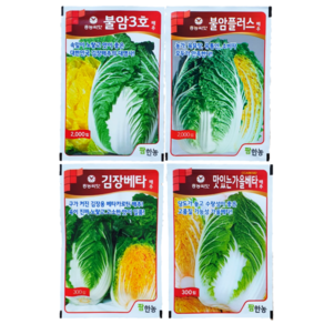 배추씨, 맛있는가을베타(300립), 1개