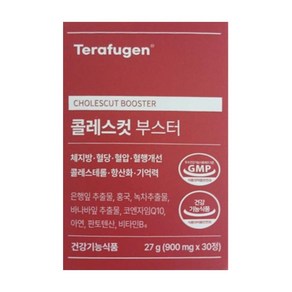 테라퓨젠 콜레스컷부스터 내돈내산 후기 효능 코레스테롤컷 콜레스커트 TERAFUGEN 콜레스컷트 부스터, 1개, 30정