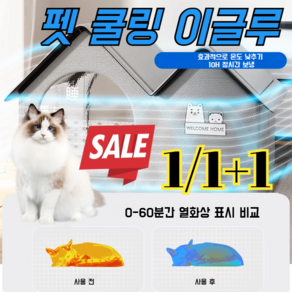 1/1+1 [추천] 고양이 집 쿨링 이글루 펫 쿨링 이글루 이글루 사계절 귀요미 고양이집, 펫하우스x1, [물 주입 필요 없음-더욱 추위 유지] 아이스박스x8