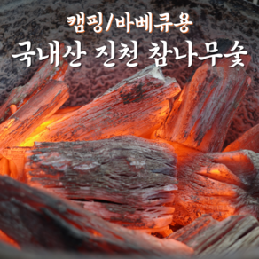 [진천참숯] 국내산 참나무 숯 흑탄 숫 탈취 냄새제거 공기정화용 구이용 캠핑 바베큐 검탄 제습 가습, 1개, 1kg