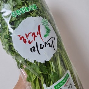 명품 한재 미나리 청도 특산물 싱싱하게 산지에서 직접 발송합니다, 1박스, 1kg