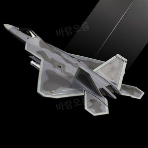 f22 랩터 F-22 폭격기 전투기 비행기 밀리터리 프라모델 플로리다, 1개