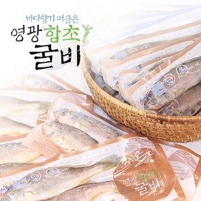 기타 [연애]영광법성포 함초진공굴비 30미(20~22cm내외 마리당80g)