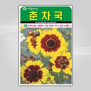 슬로시 꽃 씨앗 고급 꽃씨 야생화 허브씨 종자 모음