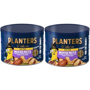 2개세트 플랜터 Deluxe Mixed Nuts Salted 가염 믹스너트 248g, 2개