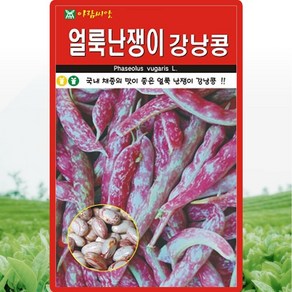 아람종묘 얼룩난쟁이 강낭콩 씨앗 30g, 1개