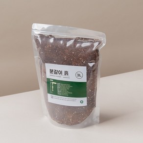 피플랜트 분갈이흙 3L, 씻은마사 (2KG), 1개