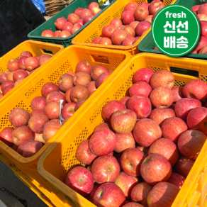 [파격특가] 산지직송 경북 정품 부사 사과 (개별망), 1개, 2kg(꼬마과~소과)