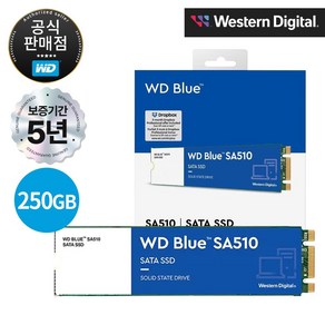 WD Blue SA510 SATA SSD, 250GB, SA510 M.2