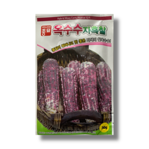 삼대씨앗 자색 옥수수 씨앗 종자 자흑찰 30g 아시아종묘, 1개