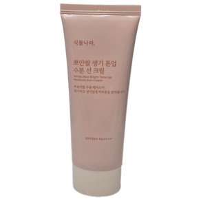 식물나라 산소수 생기 수분 톤업 선크림, 100ml, 1개