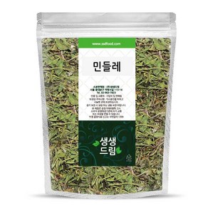 민들레 포공영 300g 국산 국내산, 1개