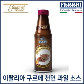 FABBRI 파브리 구르메 헤이즐넛 초코 소스 950g, 1개