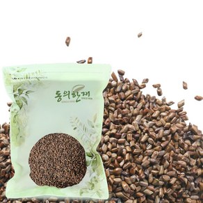 동의한재 국산 볶은 결명자 500g, 1개