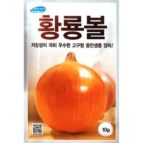 황룡볼 10g 양파씨앗 김장채소씨앗 농우 24년