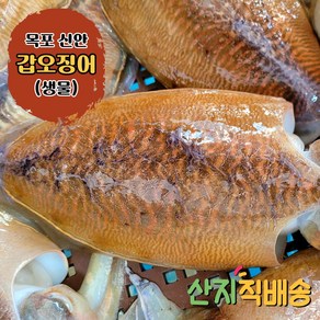 목포 신안 생물 활갑오징어 생갑오징어 자연산 원물 비손질 손질갑오징어, 1박스, 800g(비손질 2~4미)