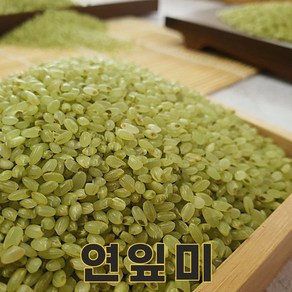 밥보야 23년산 연잎쌀 1kg 연잎미 색깔쌀 컬러쌀