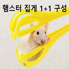 더블알엔 <1+1> 햄스터 집게 이동 용품 물림 방지, 2개, 레드+블루