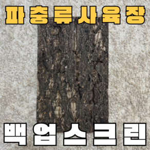 주스터디 극사실 파충류 크레편해 백업스크린, 1개, 나무코르크