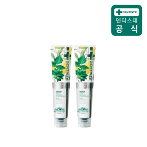 덴티스테 불소치약 시트러스후레쉬100g 2개 입냄새 잇몸 임산부 구취제거, 100g