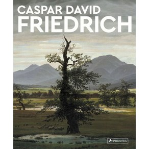 Caspa David Fiedich:Mastes of At, Caspa David Fiedich, Michael Robinson(저), Pestel Publishing