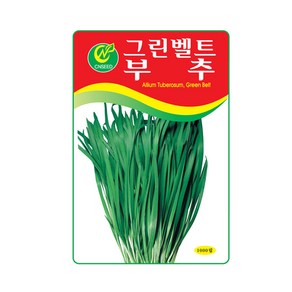 청농 부추 씨앗 1000립 부추씨 종자 키우기, 1개