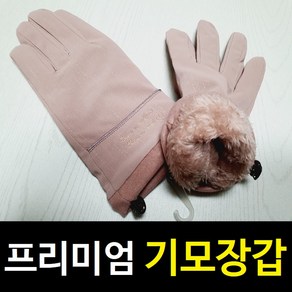 수헨느 여성 겨울 장갑 등산 스키 자전거 방한