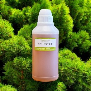 [더위치] 측백엽 추출물 500ml 측백나무잎추출물 Biota Oientalis huja Oientalis Leaf Extact, 1개