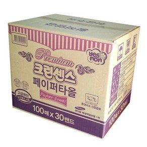 크린센스 2겹 페이퍼타올, 3000매입, 1개