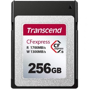 엔젤버드 AV PRO CFexpess 메모리카드 Type B, 256GB, 1개