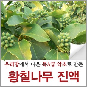 신토불이약초 제주산 황칠나무 즙 진액 액기스 원액 90ml 60포