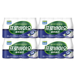 (신제품) 푸르밀 프로바이오 비피더스 블루베리 125ml x 24개 총 3000ml