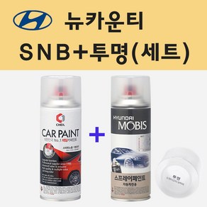 현대 뉴카운티 SNB 샌디베이지 주문 스프레이 페인트 + 투명스프레이, 1개