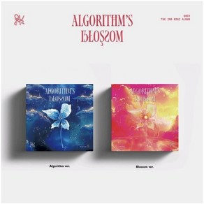 큐더블유이알 QWER - 미니 2집 Algoithm's Blossom 내 이름 맑음 2종세트