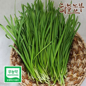 하늘농부 친환경 부추 170g, 부추 200g, 1개, 120g