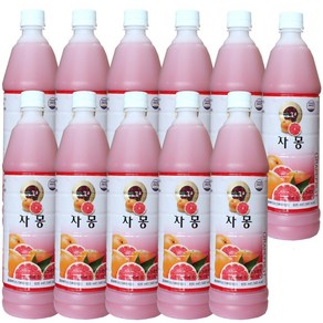 청솔 자몽 음료베이스, 835ml, 11개