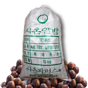 [시온견과] 알밤(특)20kg 24년햇밤