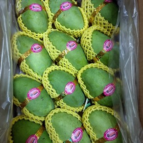 미스터과일왕 베트남 KEO 께오 그린 망고 (Vietnam Keo Geen Mango), 1박스, 그린망고 5kg (14-16과 내외)