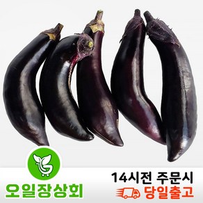 < 오일장상회 > 국내산 가지 상등급 (가정용) 1kg 2kg, 1박스, (가정용)1kg