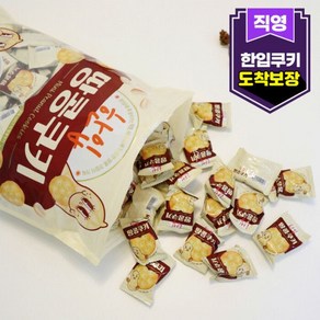 한입 땅콩쿠키 피넛버터 지퍼팩 1kg (약 160개입) 코코넛 라떼 쿠키 대용량 과자 커피숍 스크린골프장 간식