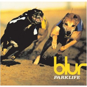 LP 블러 Blu Paklife Special Edition 통상반