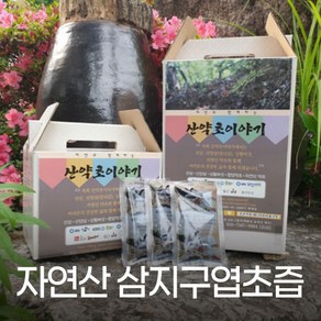 산약초이야기 자연산 삼지구엽초 음양곽 즙 진액 엑기스 120ml 60포, 60개