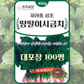 [주주씨앗] 오스템 땅딸이 시금치씨앗 400g 대포장 월동시금치 종자 씨 손파종 50평 기계파종 100평용 가을 겨울 파종 채소씨앗 섬초 노지월동, 1개